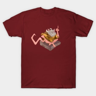 Splinter from ROTTMNT T-Shirt